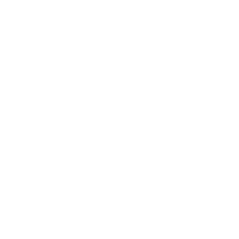UN Logo